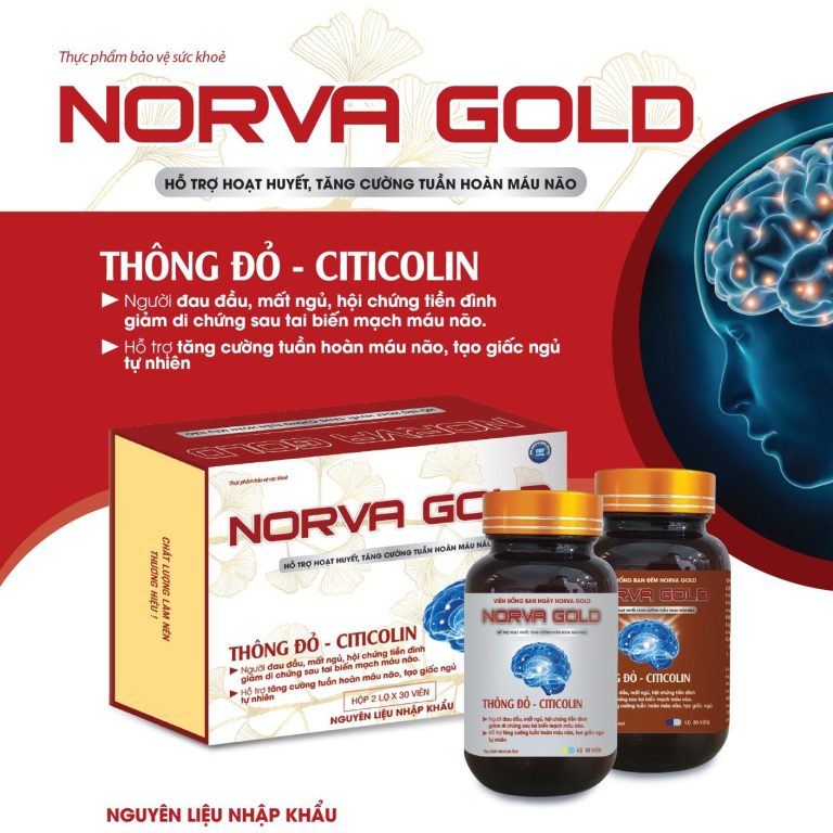 norva-gold-thong-do-citicolin
